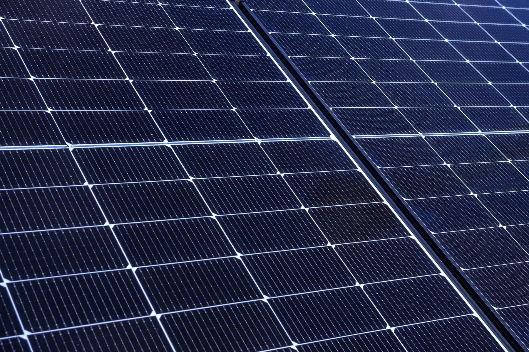Close view of dark monocrystalline solar panels in rows, catching soft daylight.